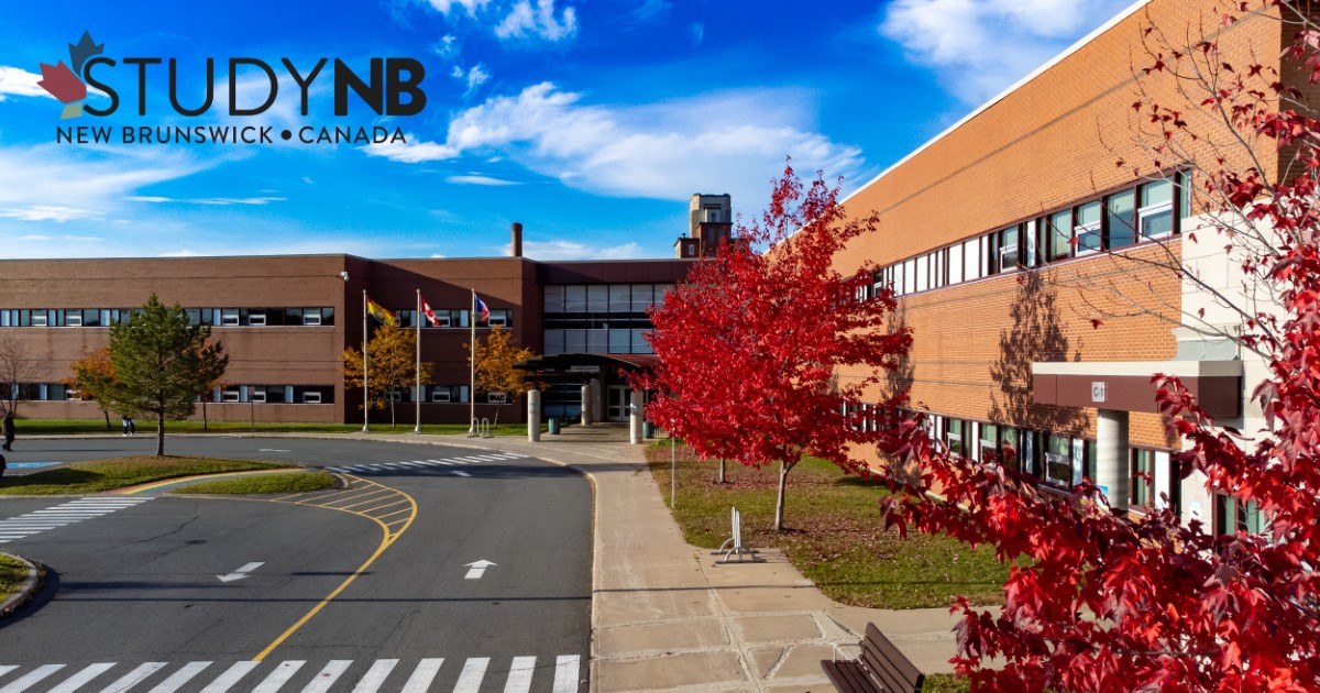 Home | Study NB | Where Education Meets Innovation